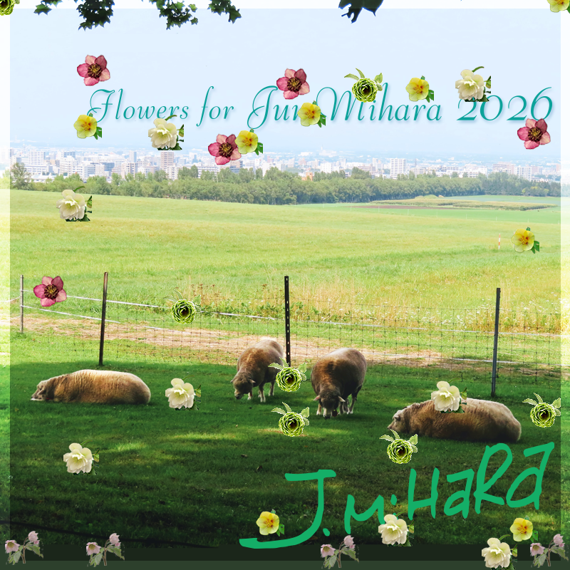 2026ǯ�����礵��˲�«��