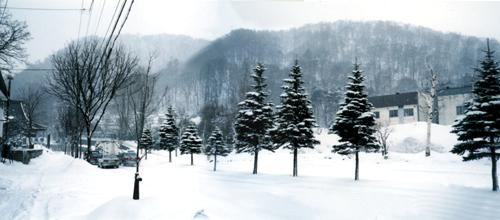 札幌円山の雪景色